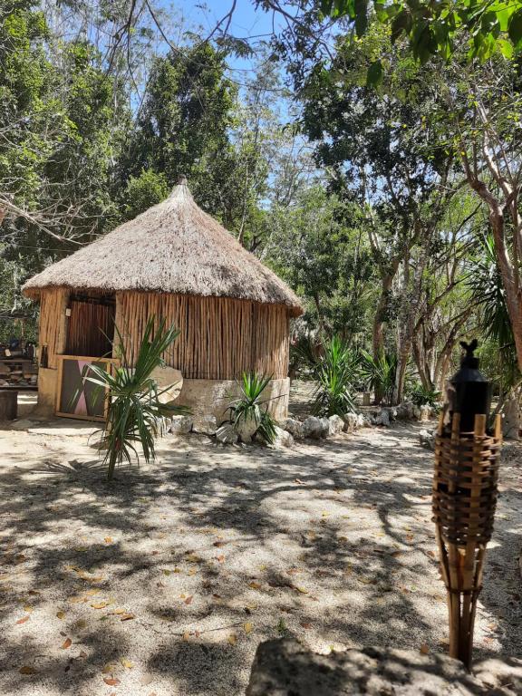 CENOTE, CAMPING & MAS ALDEA MAYA TULUM room 1