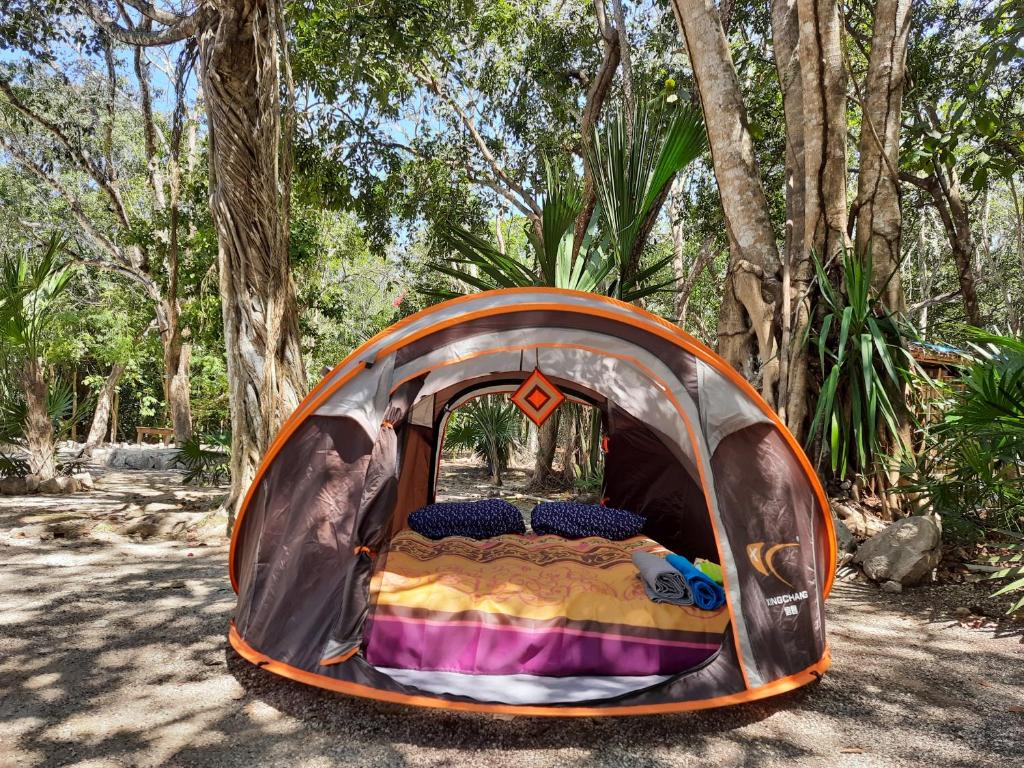 CENOTE, CAMPING & MAS ALDEA MAYA TULUM room 2