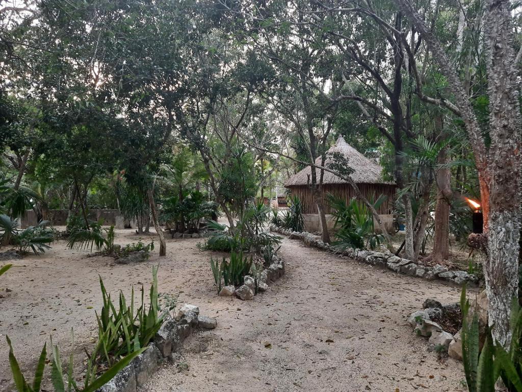 CENOTE, CAMPING & MAS ALDEA MAYA TULUM room 3