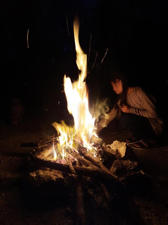 CENOTE, CAMPING & MAS ALDEA MAYA TULUM room 6